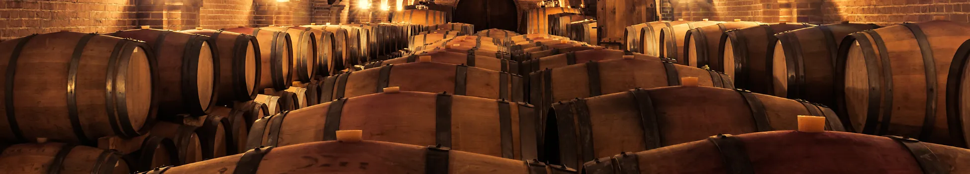 bodega de vinos la churrasquería